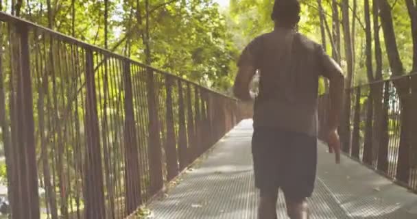 Bakåt på afrikansk amerikansk kille joggar i parken — Stockvideo