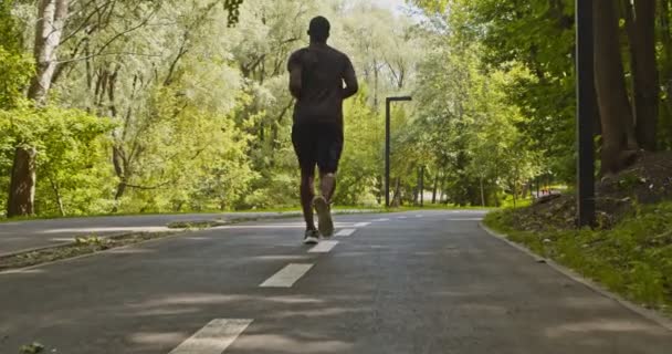 Aktiv afrikansk amerikan som springer i tomma parken, bakifrån — Stockvideo