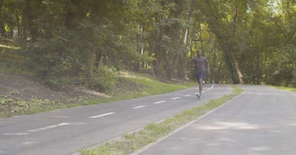 Hombre negro activo corriendo solo en el parque de la ciudad — Vídeo de stock