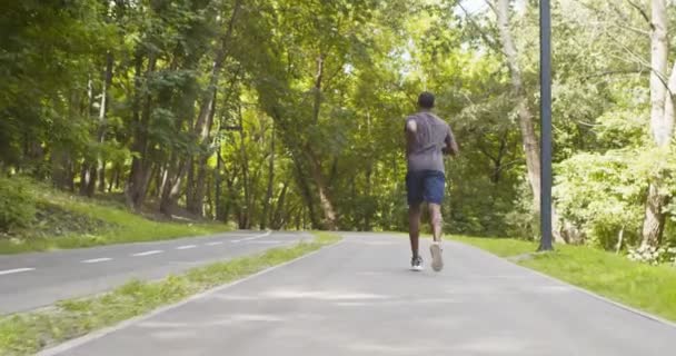 Actieve zwarte loper joggen op speciale trainingspad in openbaar park — Stockvideo