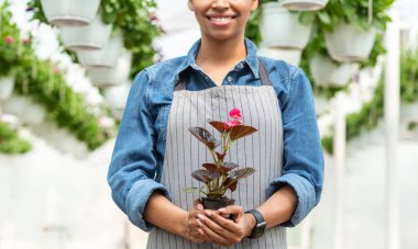 Bahar ve sera işleri. Çiçek saksısı tutan Afrikalı Amerikalı kız