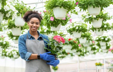Çiçek işi. Ellerinde pembe çiçekler tutan mutlu çiftçi kadın
