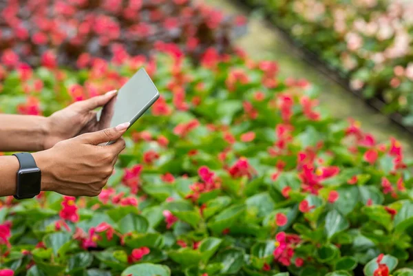 Tecnología agrícola. Chica con la tableta haciendo foto de flores — Foto de Stock