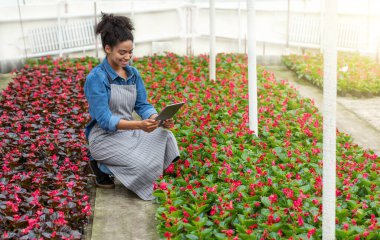 Serada kalite kontrol. Gülümseyen çiftçi kız seradaki tablete bakıyor.