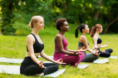 Yoga dersinde derin meditasyon yapan çok uluslu kadınlar parktaki boş alandalar.