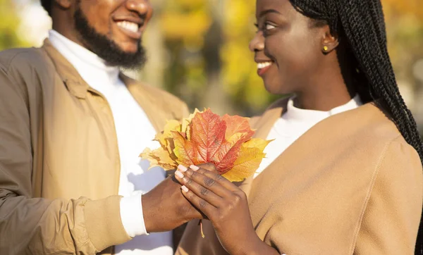 Romantyczna para z kilkoma jesiennymi liśćmi w parku — Zdjęcie stockowe
