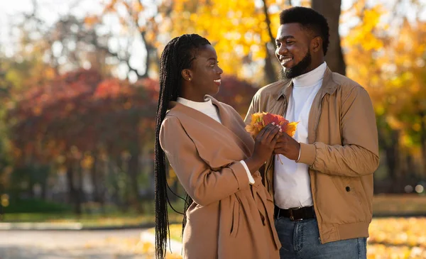 Parkta bir sürü yaprağı olan romantik afro bir çift. — Stok fotoğraf