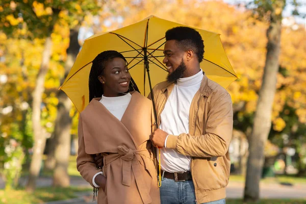 Портрет любящей черной пары под зонтиком в осеннем парке — стоковое фото