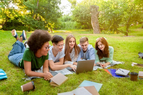 Lernkonzept. Schülergruppe bereitet sich mit Laptop im Park auf Prüfung vor — Stockfoto