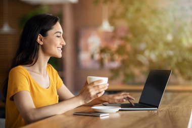 Kafede dizüstü bilgisayarda çalışan başarılı genç bir kadın.