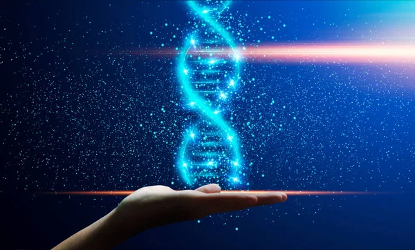 Human genetics concept. Shiny DNA helix in male hand over dark blue background, collage