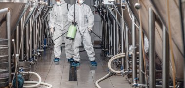 Bira yapımı. Koruyucu giysiler ve maskeli işçiler dezenfekte fabrikası