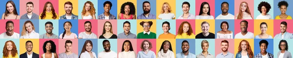 Набір різних людей на барвистих фонах студії — стокове фото