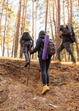 Sırt çantalı üç arkadaş yürüyüş gezisine çıkıyorlar.