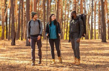 Ormanda yürüyüp konuşan neşeli gezginler.