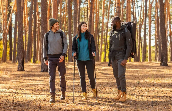 Ormanda yürüyüp konuşan neşeli gezginler.