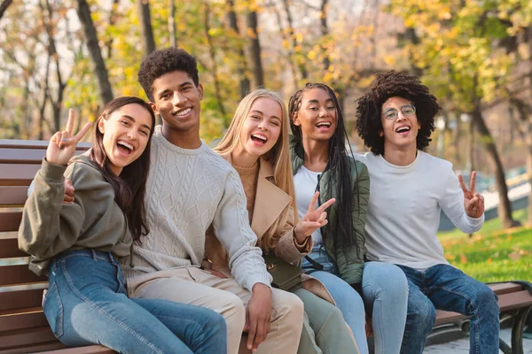Adolescentes positivos disfrutando de fin de semana en el parque público —  Fotos de Stock