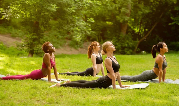Seitenansicht diverser junger Damen in Sportkleidung, die während ihres Yoga-Kurses im Freien in Kobra-Pose posieren, Kopierraum — Stockfoto