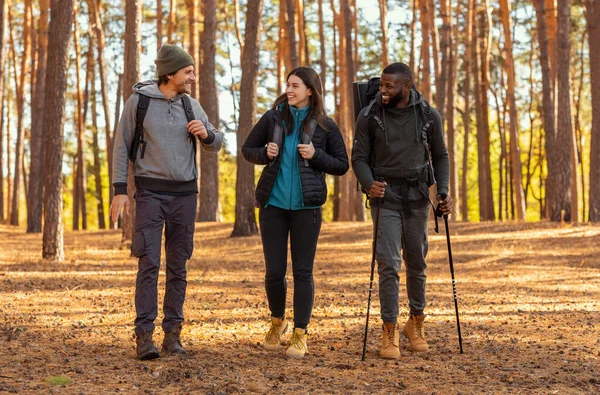 Neşeli yürüyüşçüler ormanda yürürken sohbet ediyorlar. — Stok fotoğraf