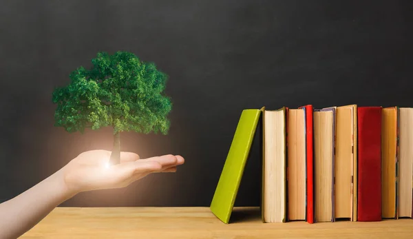 Δέντρο αυξάνεται από το γυναικείο χέρι κοντά στο ράφι του βιβλίου, Κολάζ — Φωτογραφία Αρχείου