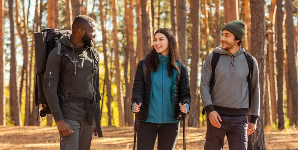 Multiracial group of hikers over forest background