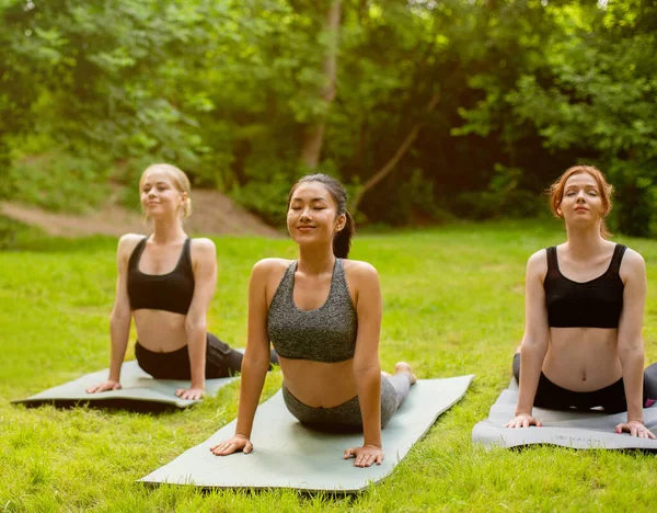 Group of three slim women sitting in lotus position on yoga mats