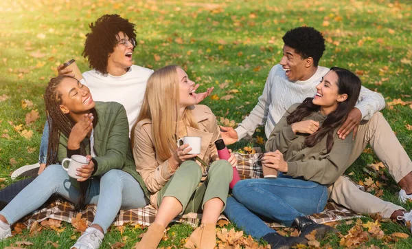 Amigos jóvenes despreocupados haciendo picnic en el parque —  Fotos de Stock