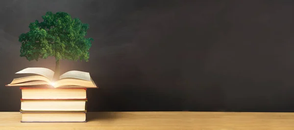 Strom rostoucí z knih ležících na stole, černé pozadí, koláž — Stock fotografie