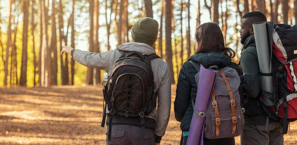 Amigos caminhantes caminhando pela floresta, cara apontando para o espaço de cópia — Fotografia de Stock