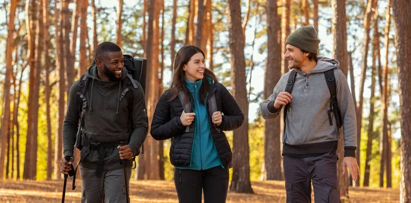 Közelről mosolygó barátok túrázás az erdőben — Stock Fotó