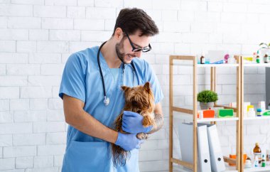 Tıbbi ofisindeki küçük hastasıyla mutlu veteriner doktoru, boş bir alan.