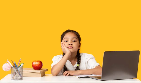 Asiática escuela chica sentado en portátil haciendo tarea, fondo amarillo —  Fotos de Stock