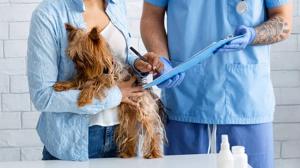 Closeup άποψη του πελάτη με χαριτωμένο σκυλί υπογραφή ασφαλιστήριο συμβόλαιο κατοικίδιο ζώο σε κλινική κτηνίατρο — Φωτογραφία Αρχείου