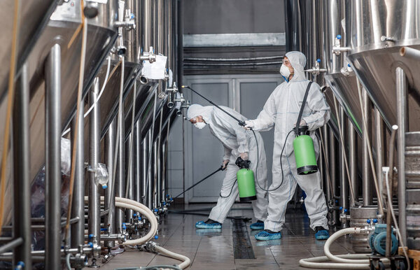 Craft brewery, eco product and disinfection. Workers in hazmat suits clean plant