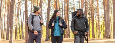 Neşeli arkadaşlar çam ormanında sırt çantasıyla geziyorlar.