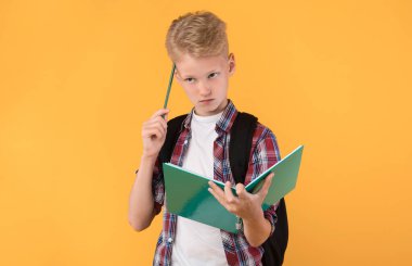 Elinde defter tutan, kalemle kafasını kaşıyan genç bir çocuk.