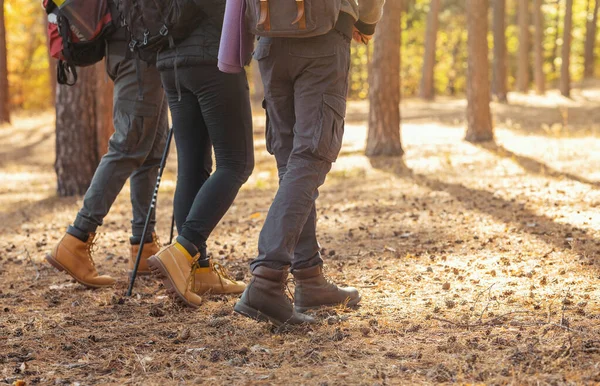 Zpět pohled na tři Backpackers chůze v lese — Stock fotografie