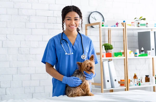 Portrét šťastného afrického amerického veterináře s roztomilým psíkem na zvířecí klinice — Stock fotografie
