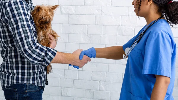 Onherkenbare klant met schattige kleine hond schudden handen met ervaren dierenarts doc in kliniek — Stockfoto