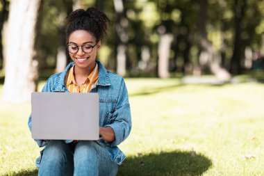Afro-Amerikan Öğrenci Kız Bilgisayar Kullanıyor Park 'ta Oturuyor
