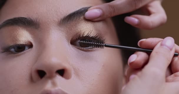 Maquillaje artista aplicar rímel en las pestañas femeninas, primer plano — Vídeo de stock