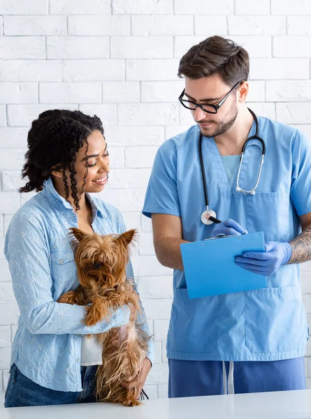 Şirin köpekli Afrikalı Amerikalı kadın klinikteki veteriner doktoru ziyaret ediyor. — Stok fotoğraf