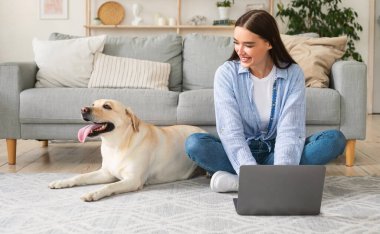 Evde dizüstü bilgisayar kullanan genç bir kadın köpeğe bakıyor.