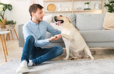 Genç adam oturma odasında köpekle oynuyor.