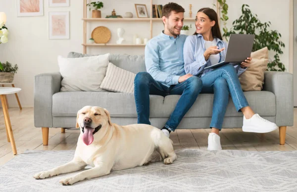 Jeune couple à la maison avec une tablette et labrador — Photo