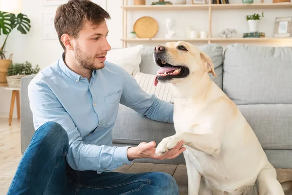 Joven jugando con el perro en casa — Foto de Stock