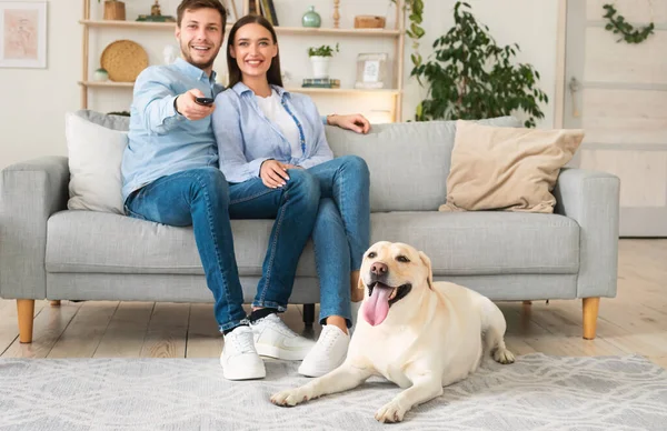 Jeune couple à la maison regarder la télévision avec labrador — Photo