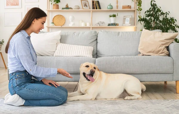 Mujer hermosa enseñando a su perro en la sala de estar — Foto de Stock