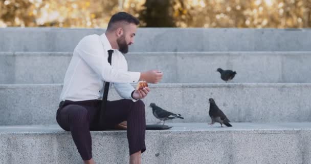 Happy mature businessman feeding pigeons with pizza in autumn urban park — Stock Video