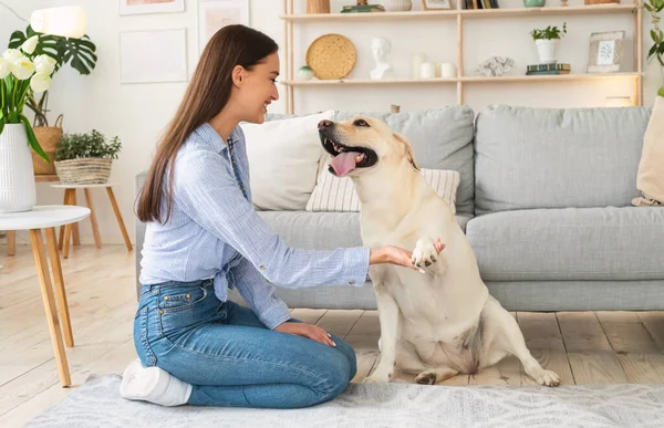 Vacker kvinna leker med hund i vardagsrummet — Stockfoto